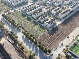 盱眙太和街道：“走，种地去！” 解锁春日好时光