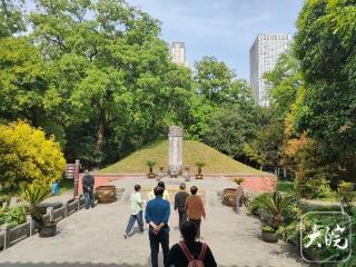 4棵珍贵“包公树”扎根合肥13年，来自福建南靖，承载着包公后人的深情厚谊