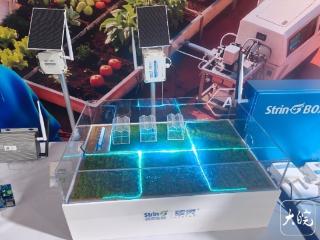 探馆科交会：当AI碰撞元宇宙，趣味与“硬核”双双拉满