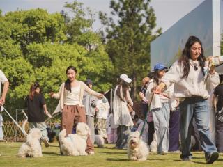 春日盛会 人宠同乐