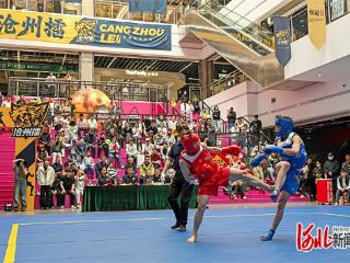 不止于武术，看“沧州擂”何以破圈