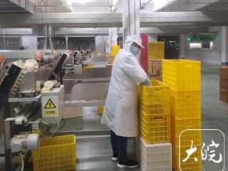 潮涌长三角 皖美江淮行|将一根毛竹“吃干榨净” 这家皖企专注于 “以竹代塑”