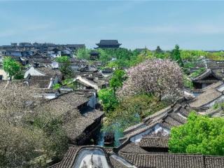 影视IP赋能旅游：《月鳞绮纪》取景地濮院 邀你沉浸式入画江南