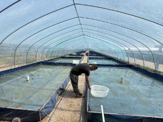 青年创业养金鱼，直播电商辟新径