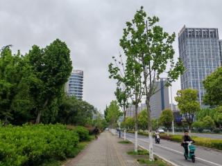 安徽沿江江南将迎大到暴雨 局地还要当心强对流