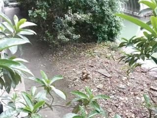 丰乐桥南公交车站边 垃圾能不能捡一捡