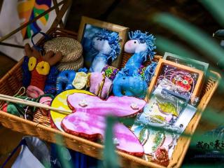 五指山雨林好物进京 非遗产业为黎乡增收