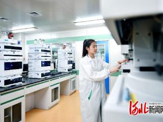 神威药业荣获河北省科学技术进步奖一等奖