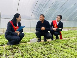 播下好种子，“贷”来好日子——工行遵义播州支行浇灌辣椒种业“芯片”