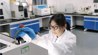 机车“血液医生”刘风青：在毫厘之间，守护钢铁大动脉平安