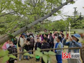 “春日寻芳 阅见自然”唐山本地植物识别科普之旅开启