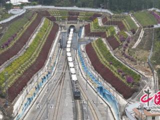 突破5万吨！中老铁路进口水果运输成绩亮眼