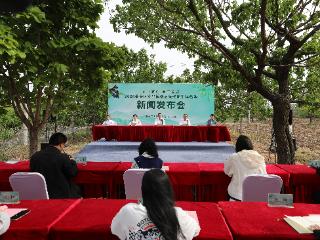 济南市莱芜区寨里镇：建强一条链 打造一座园 织密一张网 推动镇域经济高质量发展