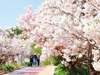 邀你莅并玩个够 备好九条线路 任选畅游菜单