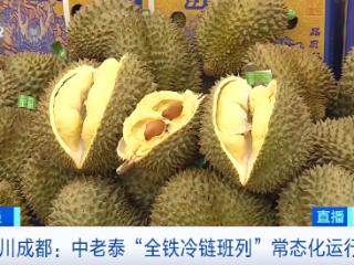 价格大降超三成！2万吨榴莲，来了