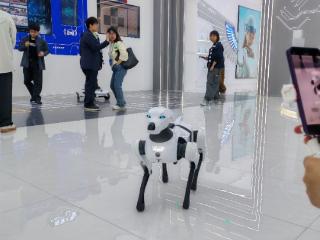 潮涌长三角 皖美江淮行| 芜湖：机器狗上下楼梯步履稳健