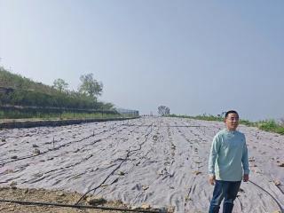 小酸枣芽变身“致富芽” 省派第一书记高洪涛以特色产业赋能乡村振兴