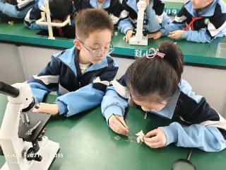 东营市胜利科技小学：黄河农耕文化赋能 跨学科融合育人