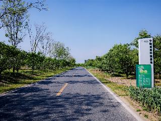 路通了，梨香了，人回了！商丘织密农村公路“幸福网”