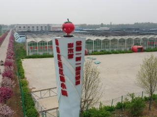 以数字溯源赋能农业品牌升级！永清1162块土地有了绿色认证