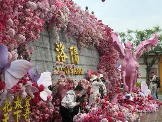 春日花事：一枝牡丹的嬗变丨花样“经”喜①