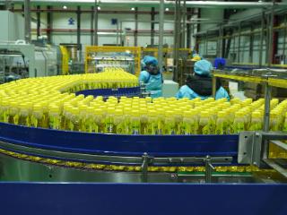 贵州特色轻工产业拓宽“两山”转化路径 生态优势变产业胜势