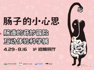 科普互动体验展《肠子的小心思》中国首展登陆北京