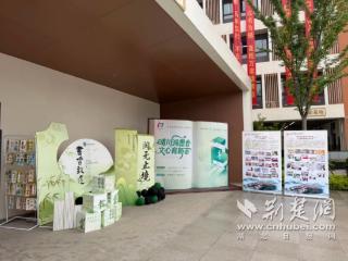 聚焦书香校园建设！“晴川讲坛”首期开讲