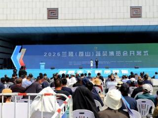 临沂联通圆满完成2026兰陵（苍山）蔬菜产业博览会通信保障及志愿服务工作