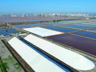 威海银行落地天津市首笔“蓝色+生物多样性金融”GEP质押贷款