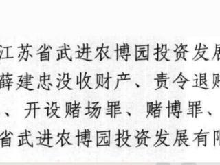 黑恶组织成员蒋益明名下一批资产被司法拍卖