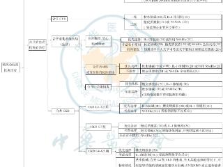 痛风止痛药伤肾？肾脏友好型用药选择全解析