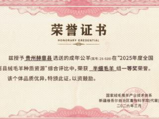 毕节3只种羊闪耀国家级赛场 斩获一二三等奖