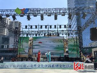 2026年石家庄市示范性文化驿站系列文化活动启动