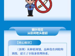 长图丨划重点 《河南省烟草专卖管理条例》要点速览