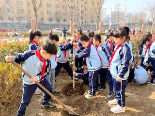 青岛平度：勤劳作精技艺 这里的学生会“整活儿”
