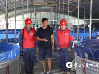 南方电网册亨供电局：电力升级强保障 鱼苗“游”出致富路