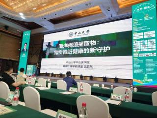 破解老年宠物肾病困局的新希望——专访中山大学王蔚东教授