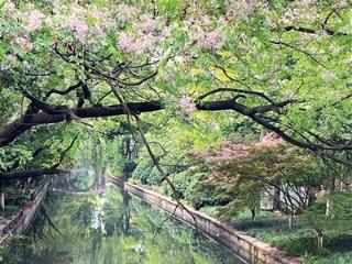 “五一”假期两头晴中间雨 明天夜里将有降雨