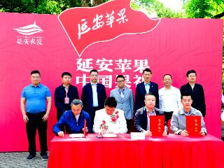 陕北春风吹到江南 延安风味风情展在无锡正式开幕