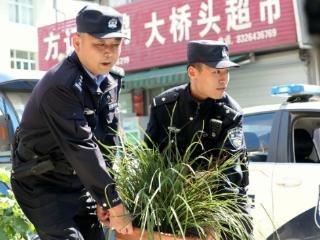 辗转六百余公里 宁国警方追回六盆兰花