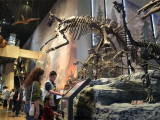 穿越亿万年的古生物奇妙之旅