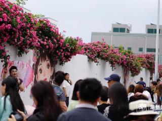 一波好天气上线，冲击30℃！浙江的下一波雨要到节后