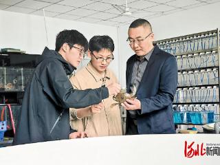 渤海湾育出江南青蟹苗