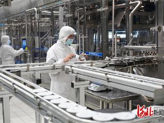 “十五五”开局看河北｜一杯高端酸奶的突围密码