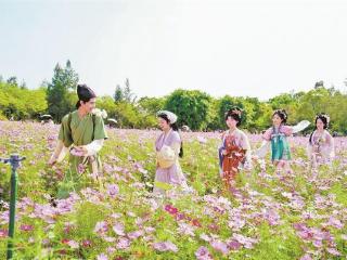 翔安区：古韵赋能新潮聚势 打造假日文旅盛宴