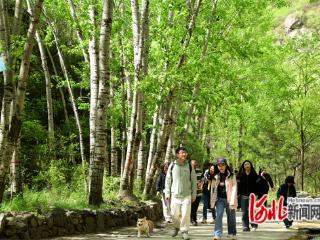 张家口怀来：黄龙山庄云中草原美如画