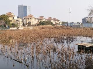疏通景观河，还河一碧水