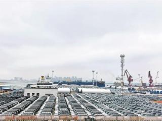 厦门港国产汽车出海势头强劲