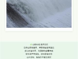辞别五一烟火，东平盛夏 如约而至